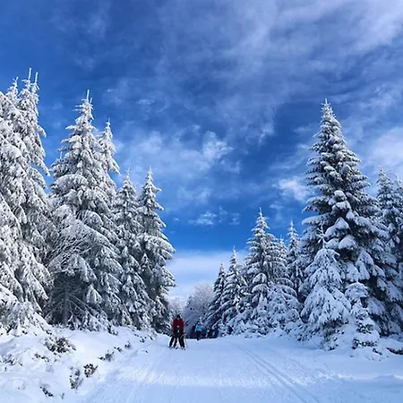 Hunderfossen & 3*